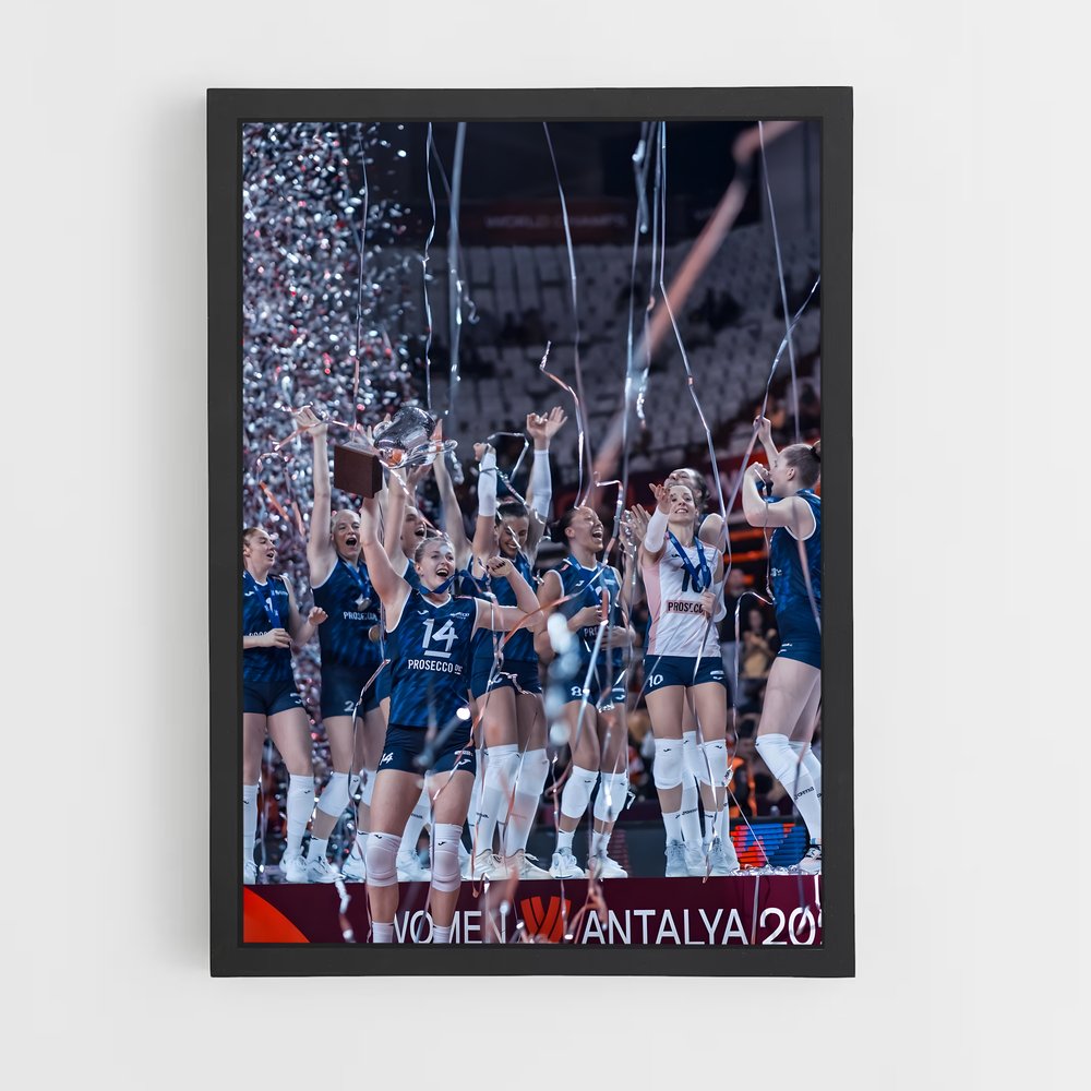 Poster Volleyball world précieux (vue 2)